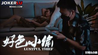  69FILMS1046 好色的小偷 69传媒