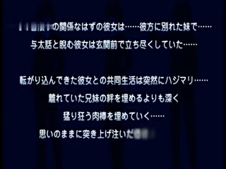 免费砲友 2 妹妹-堇～沉迷其中的关系～ ACPDP-1030